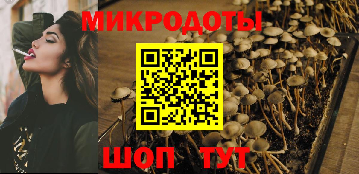 Бахчисарай  Псилоцибиновые грибы GOLDEN TEACHER  Вход с VPN  купить закладку  Псилоцибиновые грибы MAGIC MUSHROOMS 